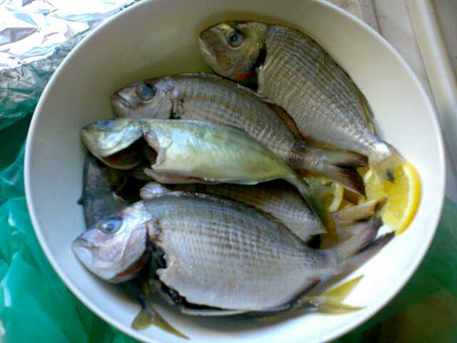 20012008059-small.jpg