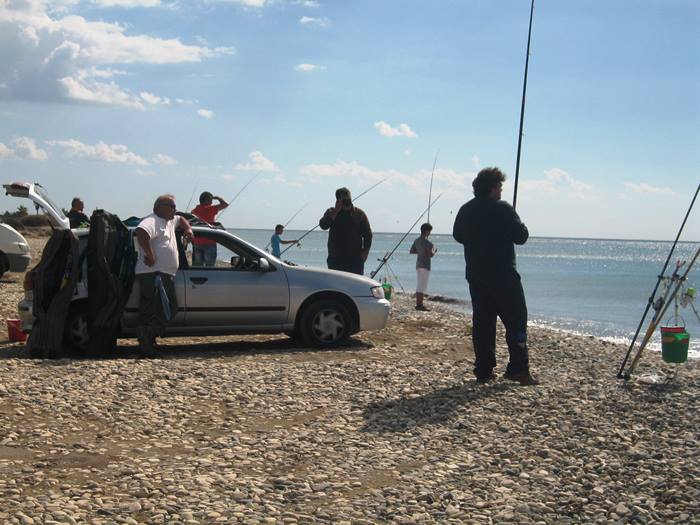 255.JPG