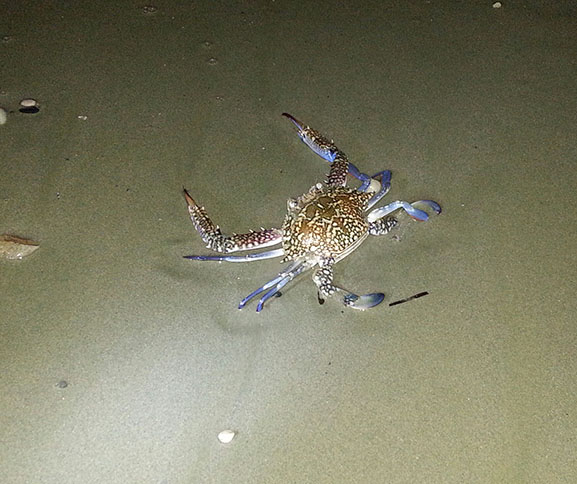 20131027_195736-1.jpg