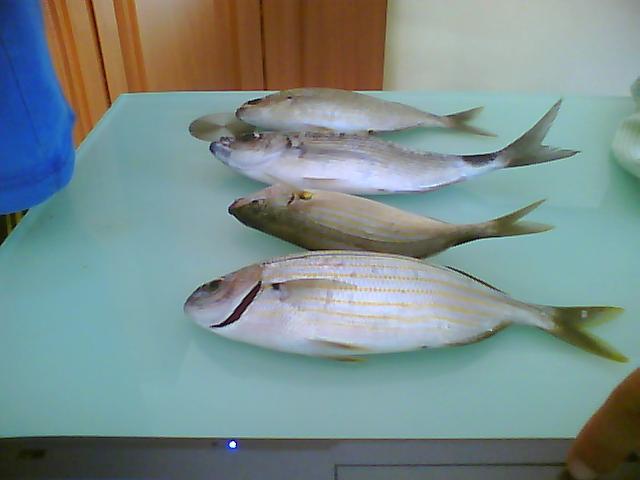 Picture0023.jpg