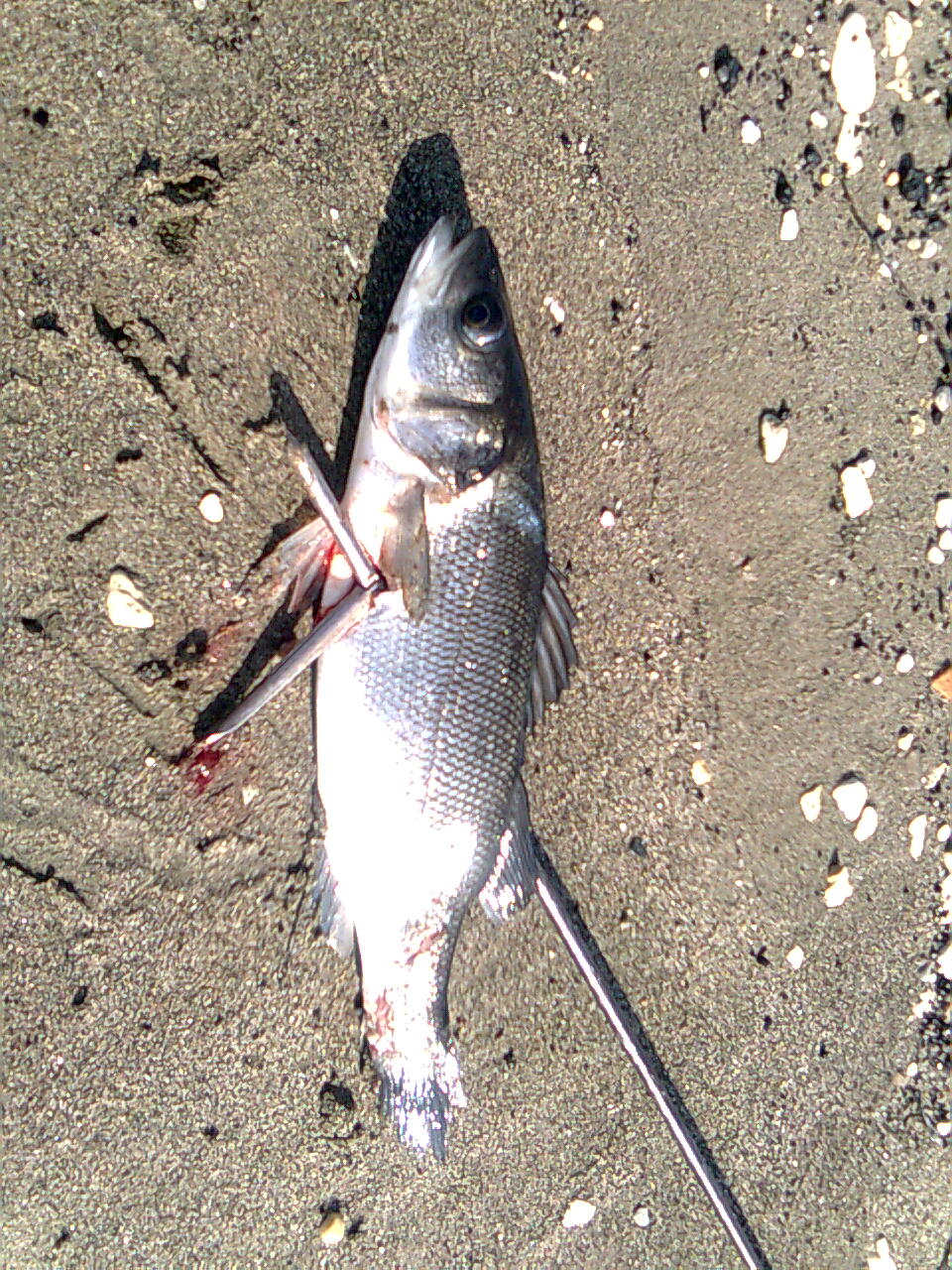 Image0002.jpg