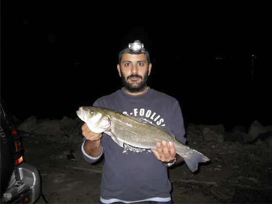 IMG_4031 copy.JPG