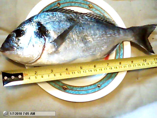 Picture 290.jpg