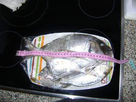 922009 024.jpg