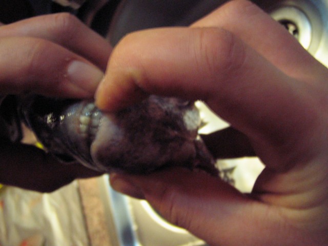 14-02-10 (4) [640x480].JPG