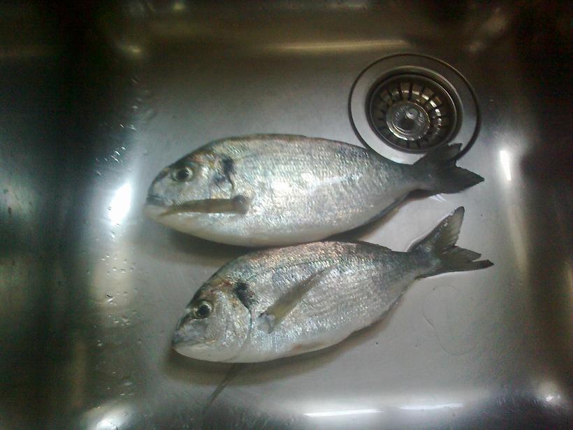 06032010027.jpg