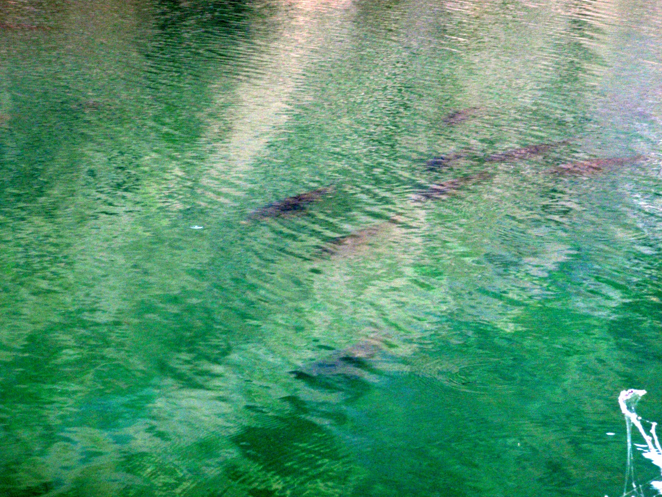 P5300016.JPG