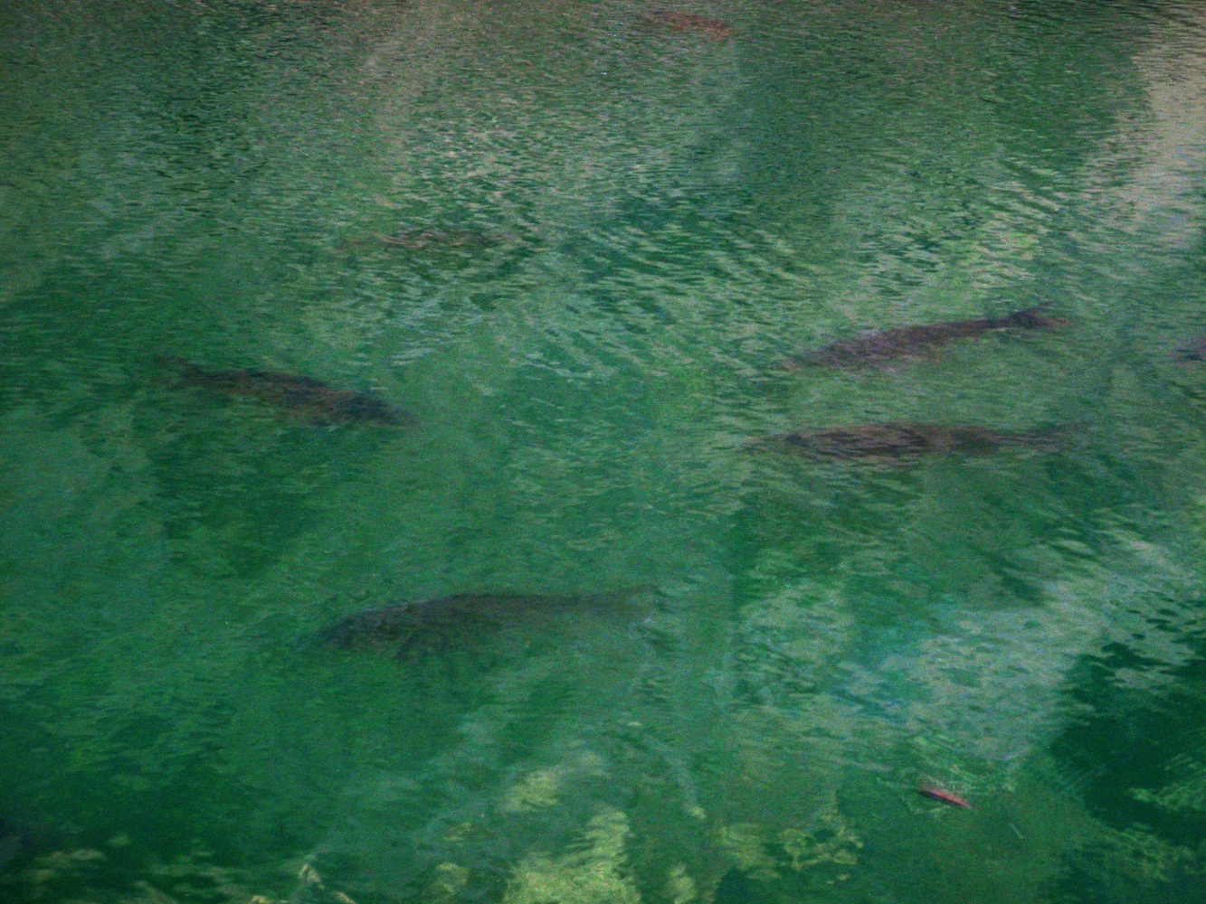 P5300017.JPG