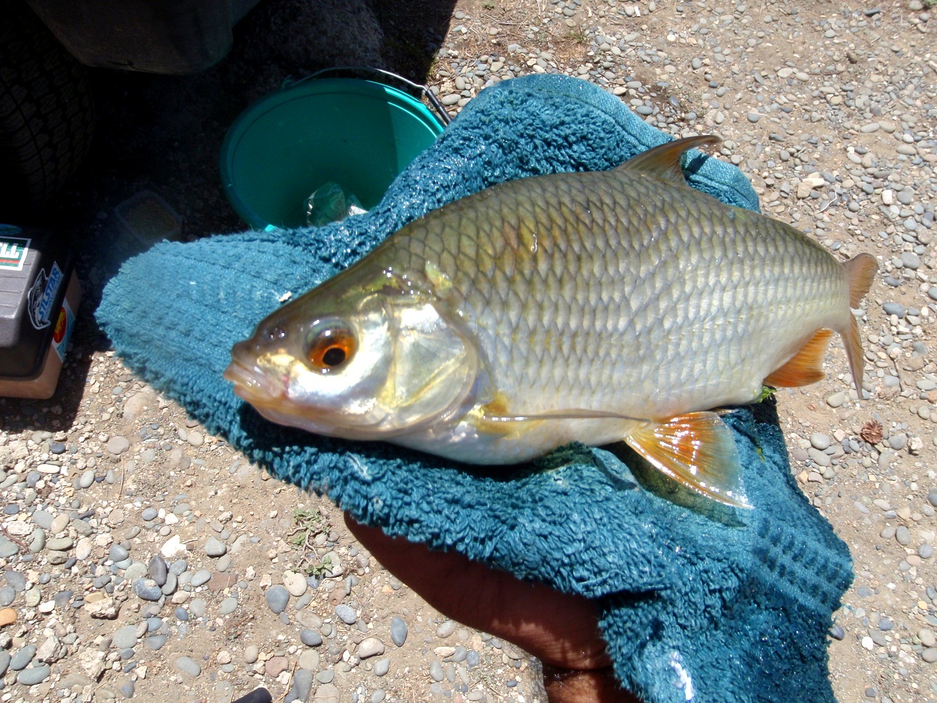 P5290004.JPG