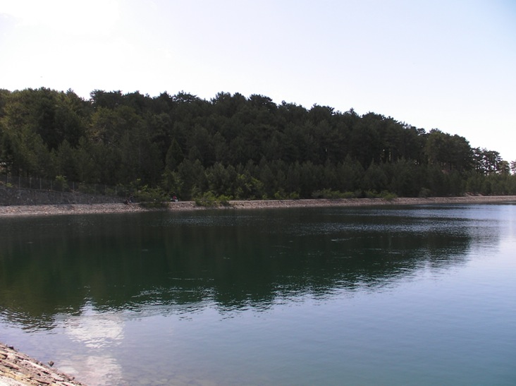 SANY0733.JPG
