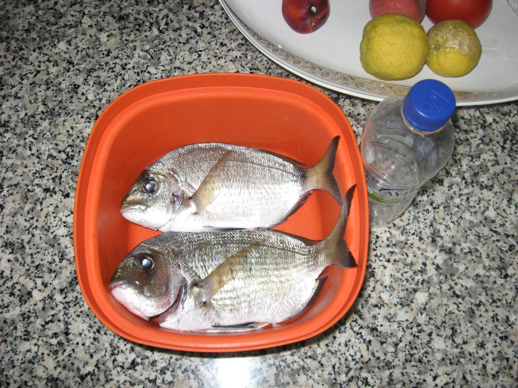 IMG_1819.JPG