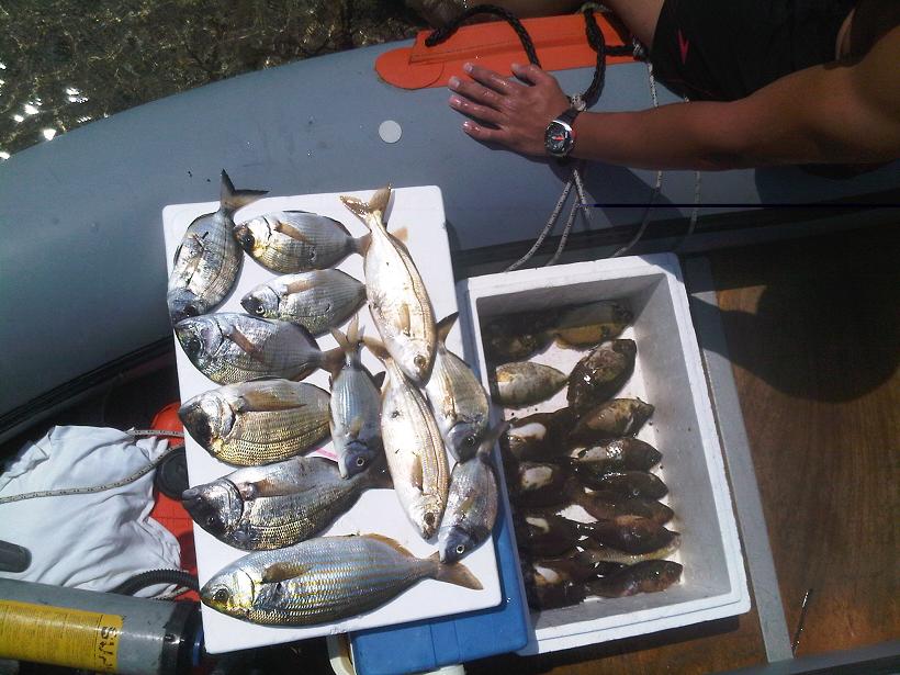 IMG00101-20100614-1237.jpg