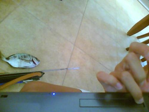 Picture0011.jpg