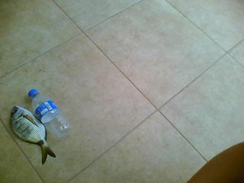 Picture0013.jpg
