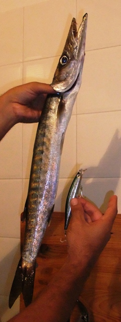 DSCF1949b.JPG
