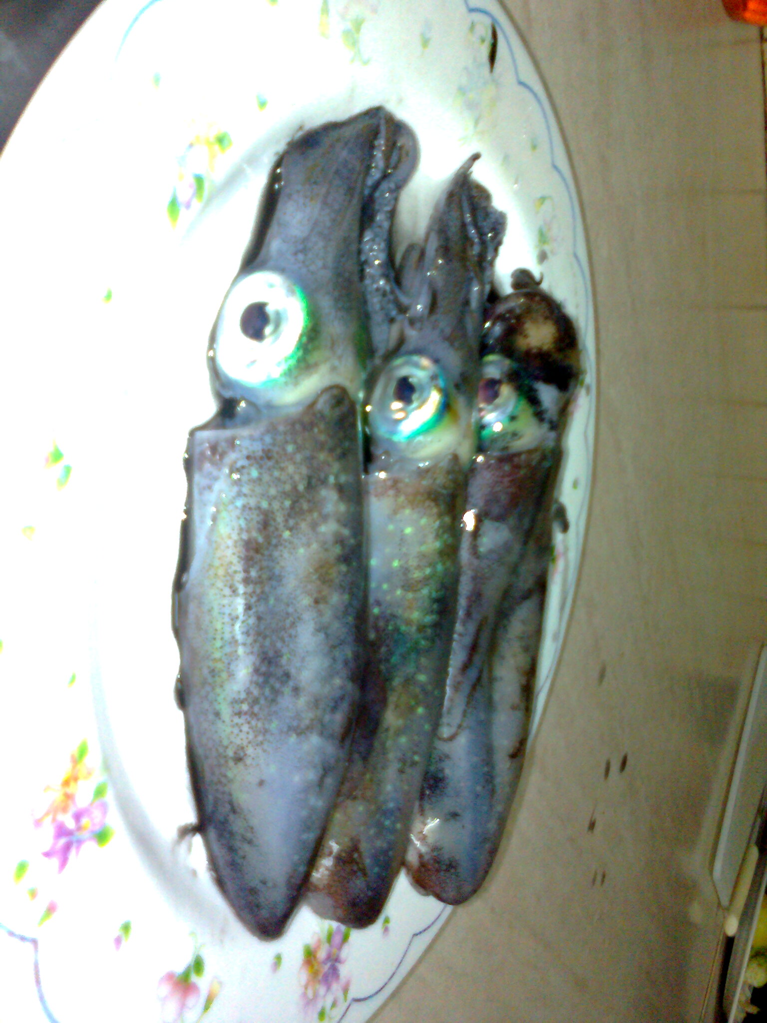 Photo0001.jpg