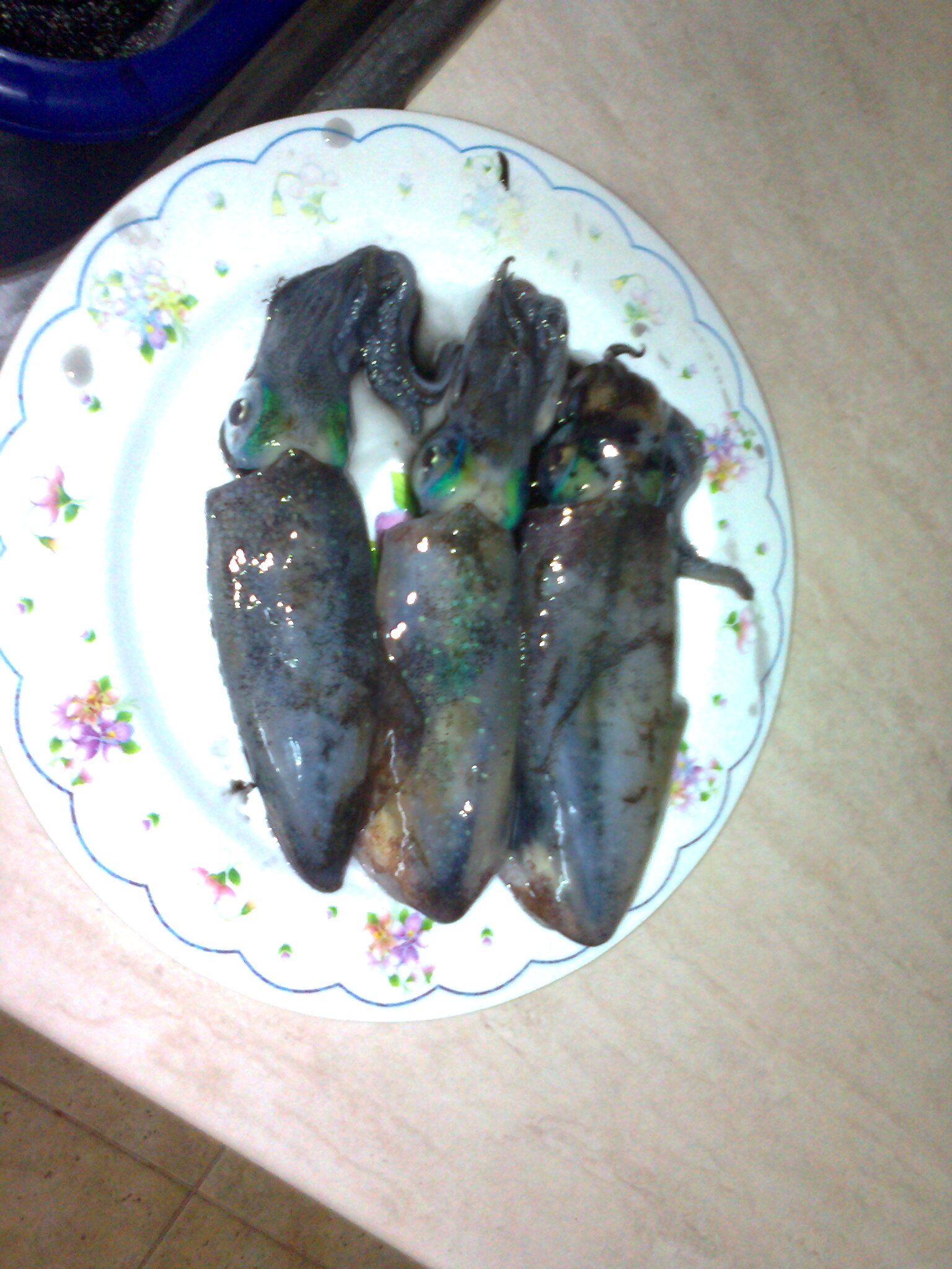 Photo0000.jpg