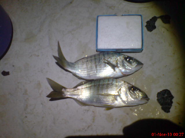 DSC00170.JPG