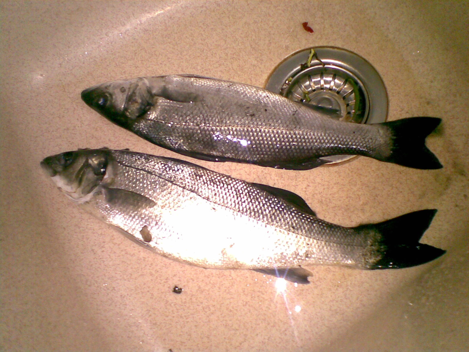 25122010.jpg