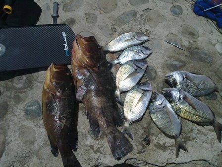 08072010029.jpg