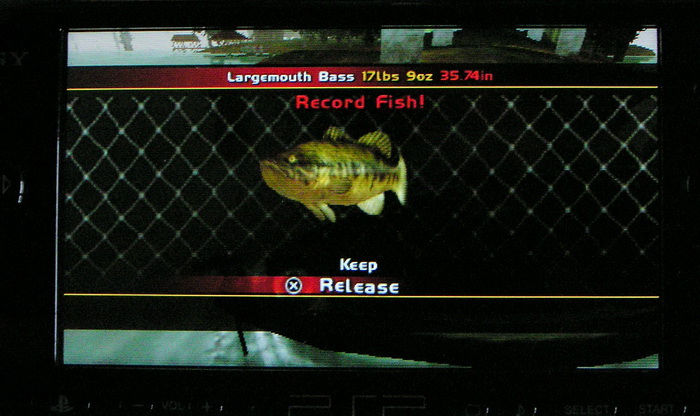 Ps2a.jpg