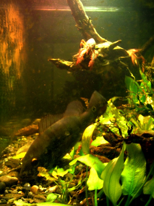P2150091.JPG