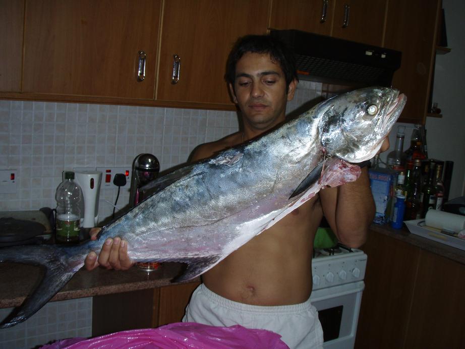 marios09.JPG