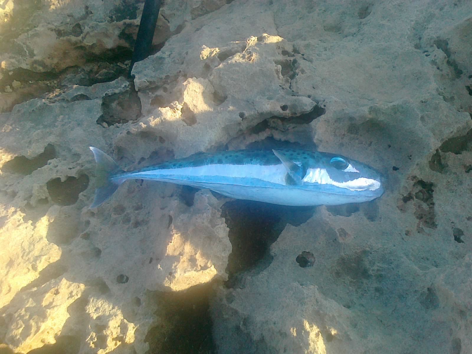 160620114442.jpg