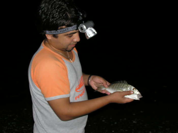 L5.jpg