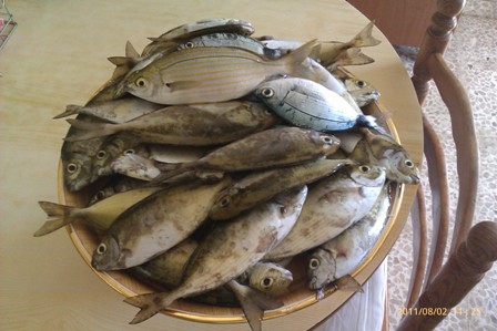 IMAG0110.jpg