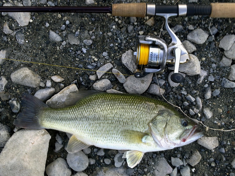 LMB150911aa1.jpg