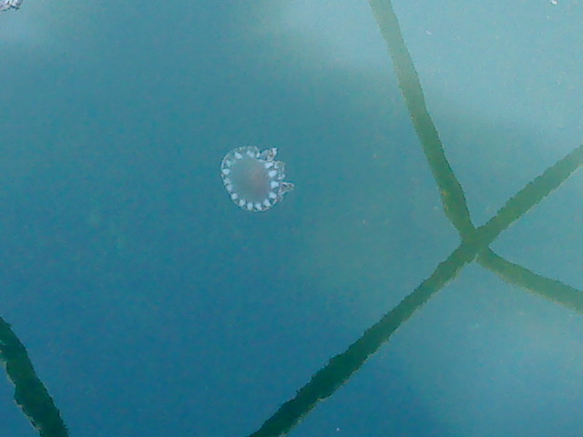 DSC01533.JPG