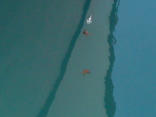DSC01537.JPG