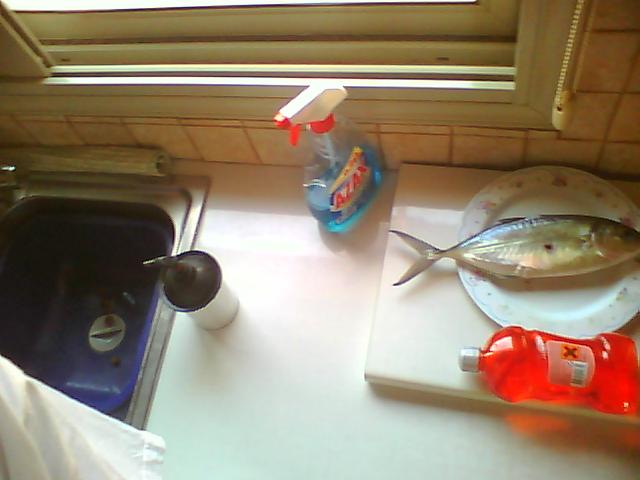 Picture0123.jpg