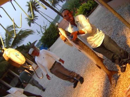 baracuda 12kg