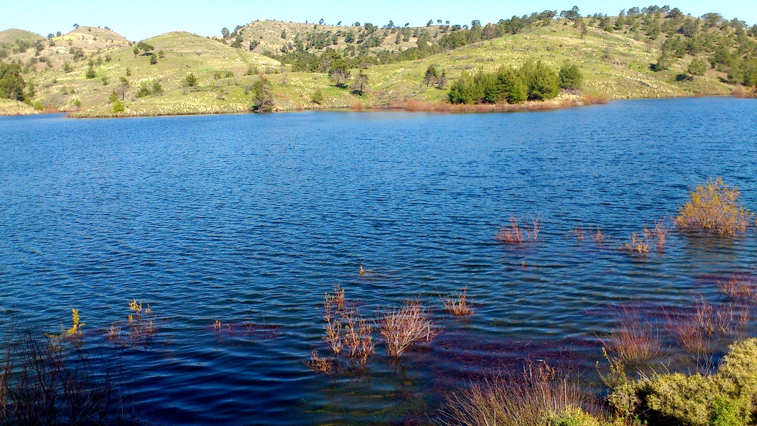 DSC_0091.JPG