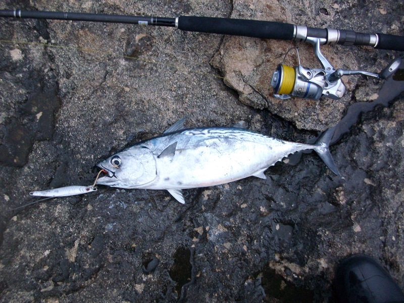IMGP0815.JPG