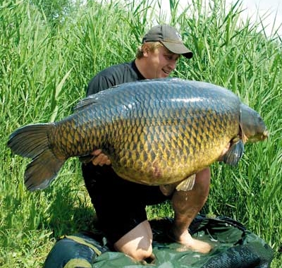 common-carp-lady-bird-lake[1].jpg