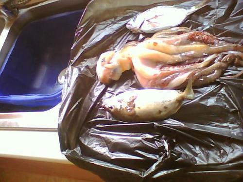 Picture0127.jpg