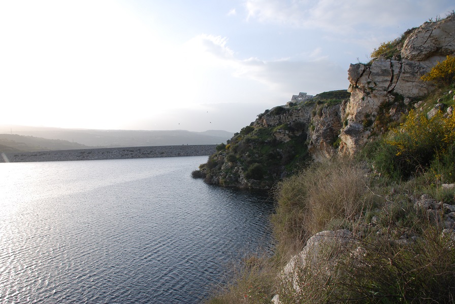 DSC_0302.jpg